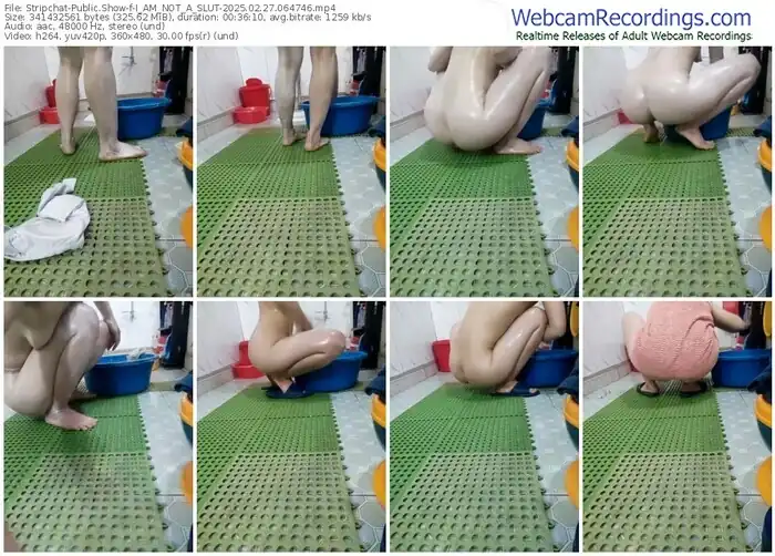 2025/02/27/stripchat-i_am_not_a_slut-06-47-46