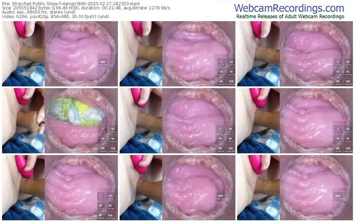 2025/02/27/stripchat-danigirl866-18-23-23