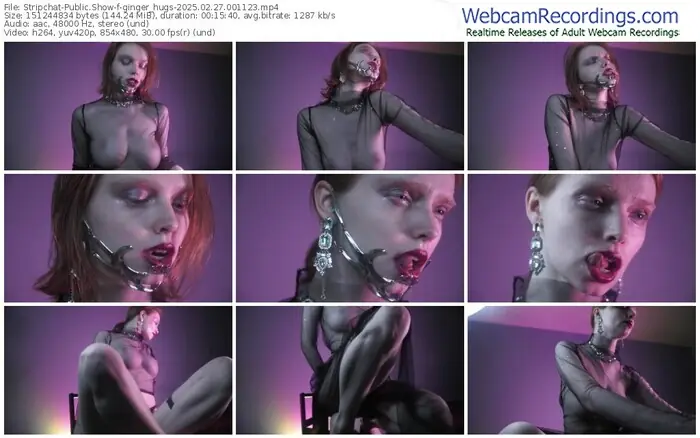 2025/02/27/stripchat-ginger_hugs-00-11-23