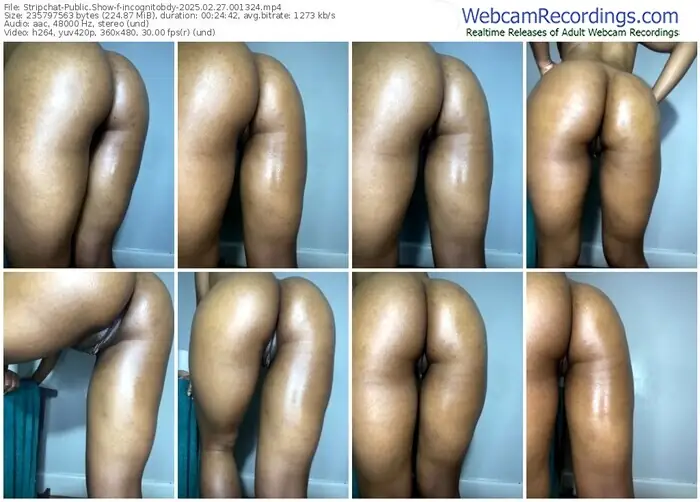 2025/02/27/stripchat-incognitobdy-00-13-24