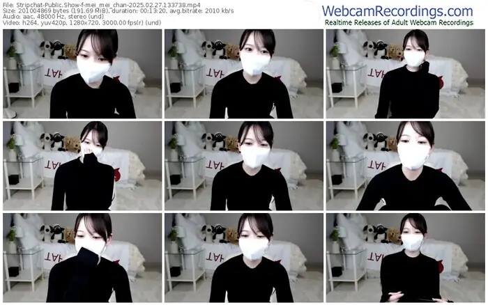 2025/02/27/stripchat-mei_mei_chan-13-37-38