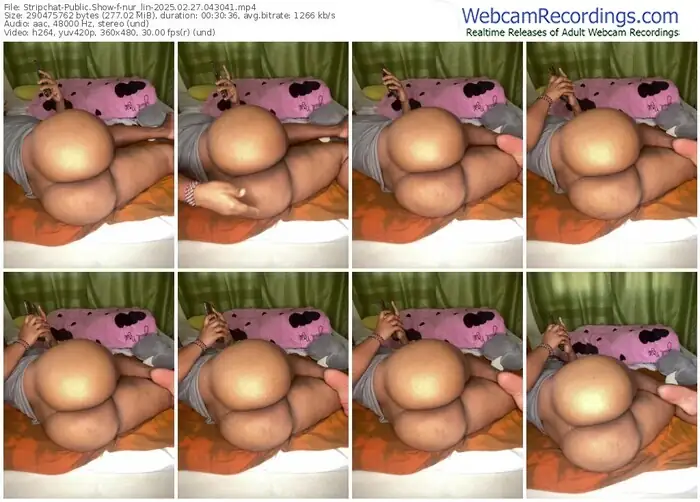 2025/02/27/stripchat-nur_lin-04-30-41