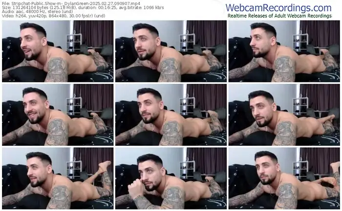 2025/02/27/stripchat-_dylangreen-09-09-07