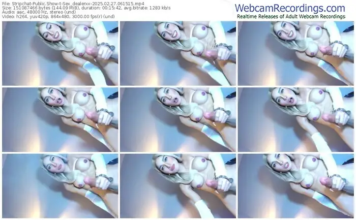 2025/02/27/stripchat-sex_dealerxx-06-15-15