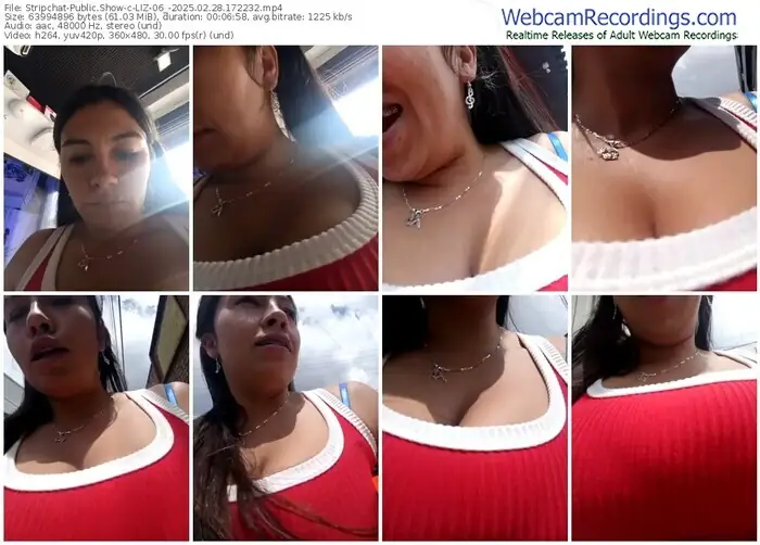 2025/02/28/stripchat-liz-06_-17-22-32