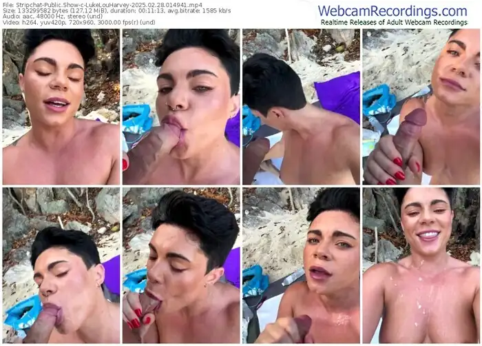 2025/02/28/stripchat-lukelouharvey-01-49-41