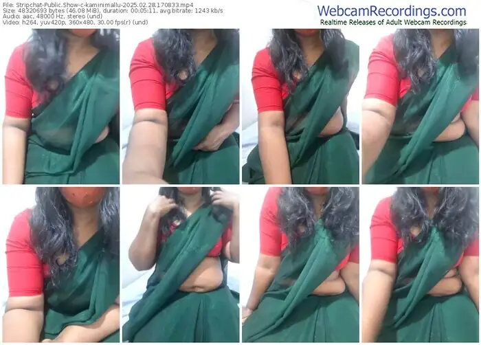 2025/02/28/stripchat-kaminimallu-17-08-33
