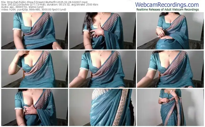 2025/02/28/stripchat-dreamy-butterfly-02-26-07