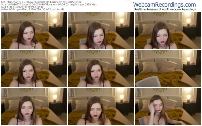 2025/02/28/stripchat-michelle_054-19-04-55