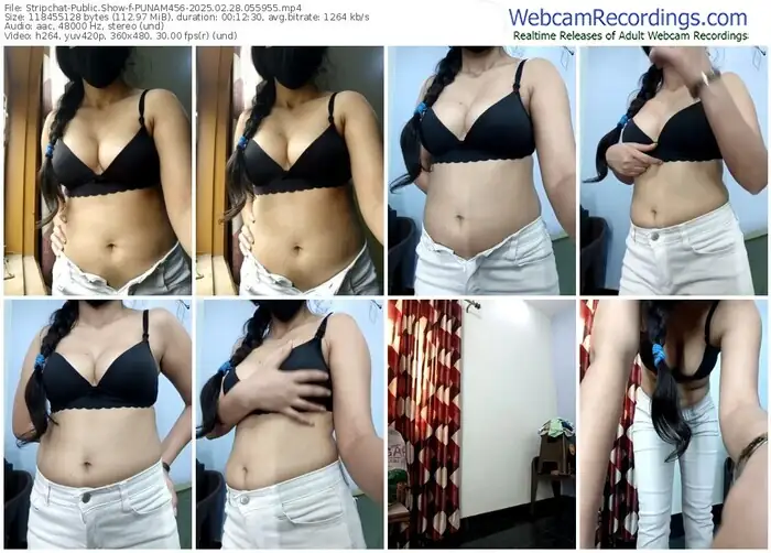 2025/02/28/stripchat-punam456-05-59-55