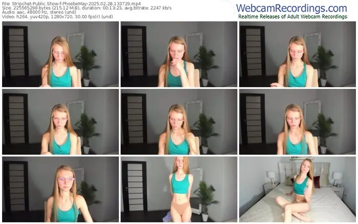 2025/02/28/stripchat-phoebemay-13-37-29