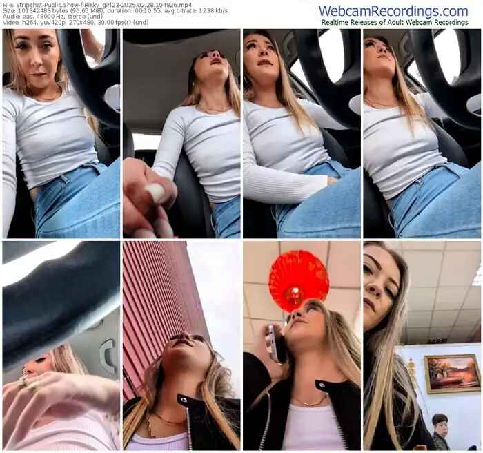 2025/02/28/stripchat-risky_girl23-10-48-26