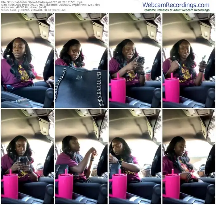 2025/02/28/stripchat-zadaraye-17-15-51