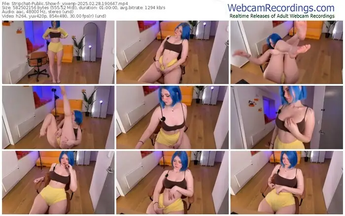 2025/02/28/stripchat-_vixenp-19-06-47