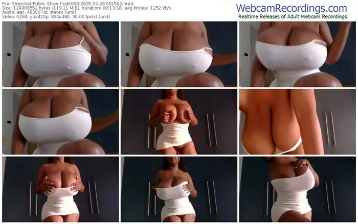 2025/02/28/stripchat-katt008-05-15-02