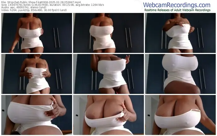2025/02/28/stripchat-katt008-05-38-47