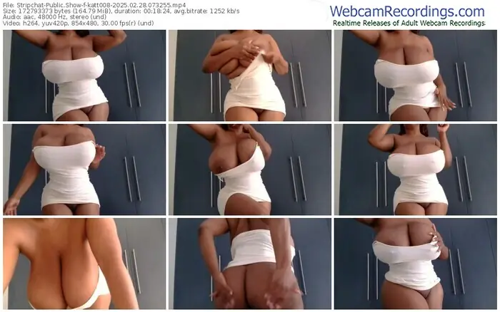 2025/02/28/stripchat-katt008-07-32-55