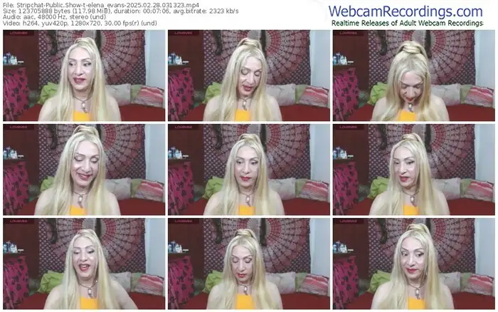 2025/02/28/stripchat-elena_evans-03-13-23