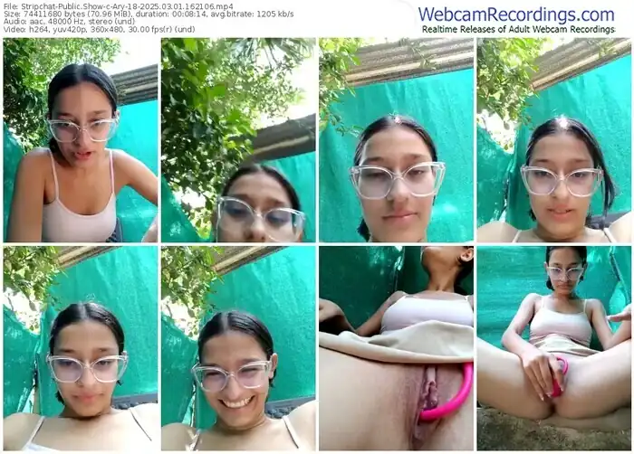 2025/03/01/stripchat-ary-18-16-21-06