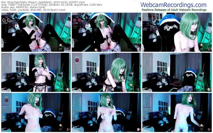 2025/03/01/stripchat-_sparkland_-23-20-57