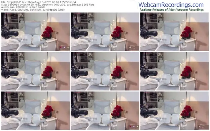 2025/03/01/stripchat-vyizh--13-56-53