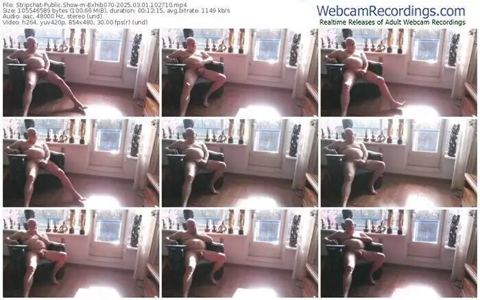 2025/03/01/stripchat-exhib070-10-27-10