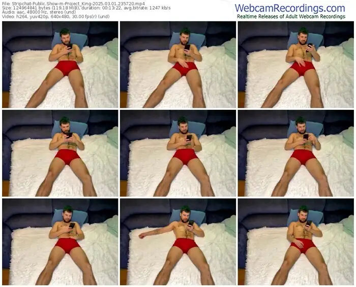 2025/03/01/stripchat-project_king-23-57-20