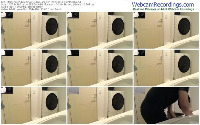 2025/03/02/stripchat-kakushi_dori-12-45-00