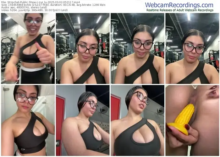 2025/03/02/stripchat-zui_lu-05-21-17