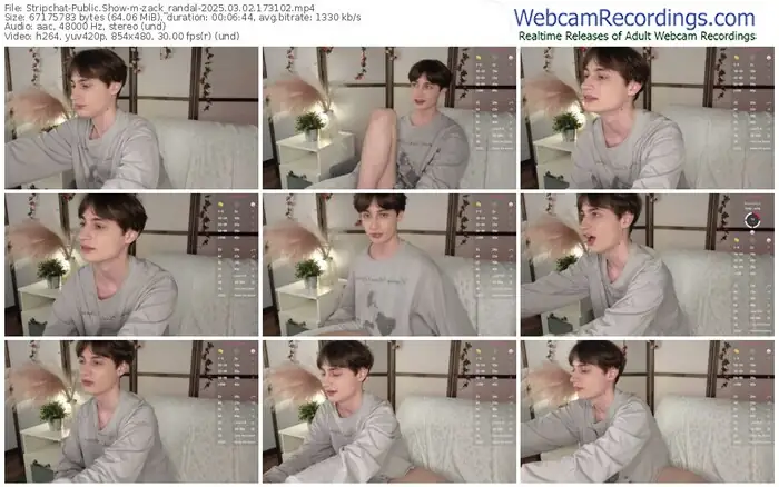 2025/03/02/stripchat-zack_randal-17-31-02
