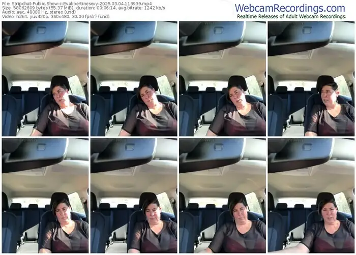 2025/03/04/stripchat-evalibertinesexy-11-39-39