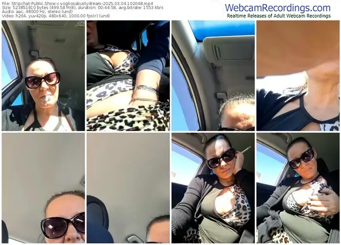 2025/03/04/stripchat-vogliosabustydream-10-20-48