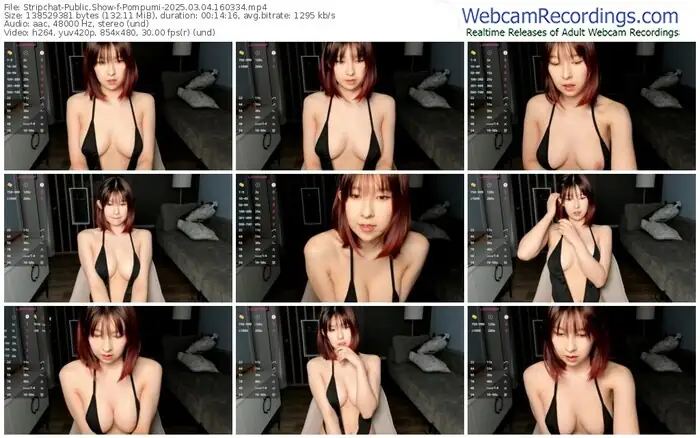 2025/03/04/stripchat-pompumi-16-03-34