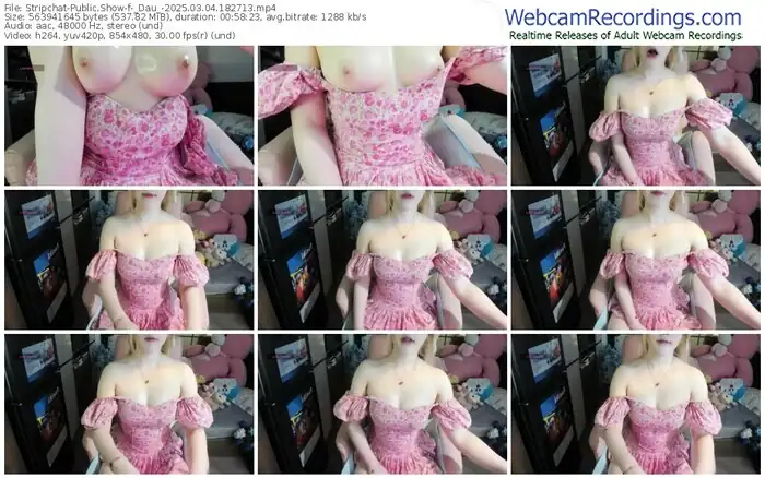 2025/03/04/stripchat-_dau_-18-27-13