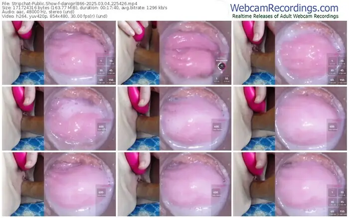 2025/03/04/stripchat-danigirl866-22-54-26