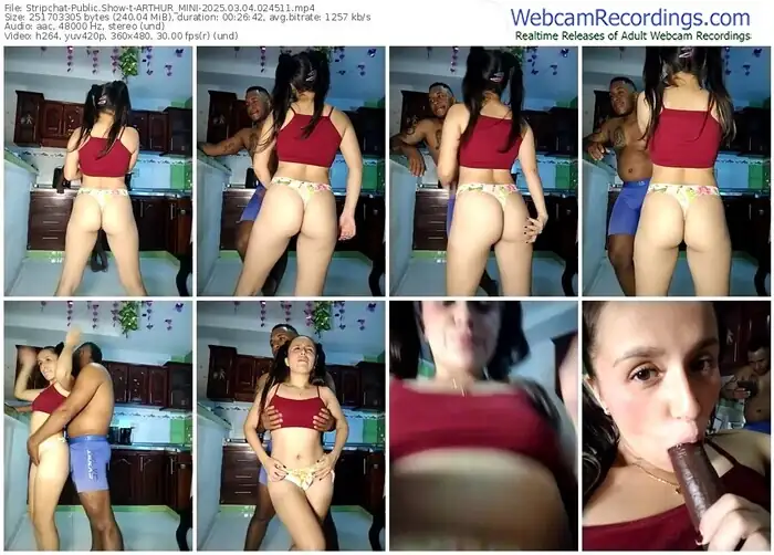 2025/03/04/stripchat-arthur_mini-02-45-11