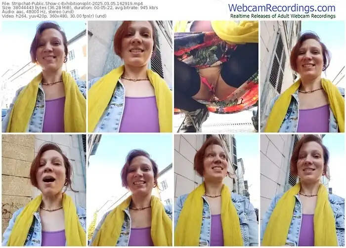 2025/03/05/stripchat-exhibitionsplit-16-29-19