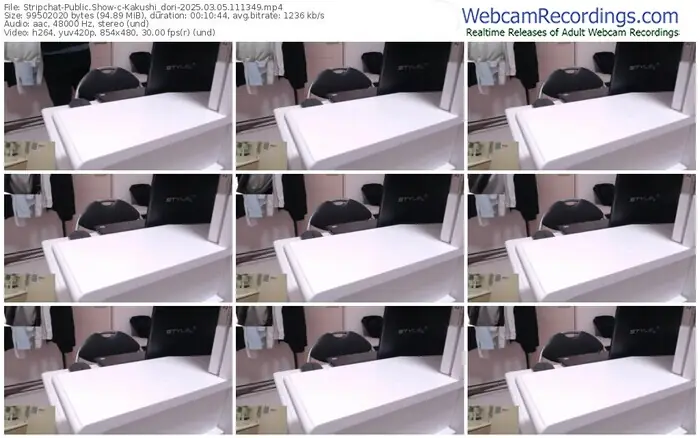 2025/03/05/stripchat-kakushi_dori-11-13-49