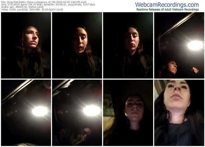 2025/03/05/stripchat-pleasure_of_life-18-41-05