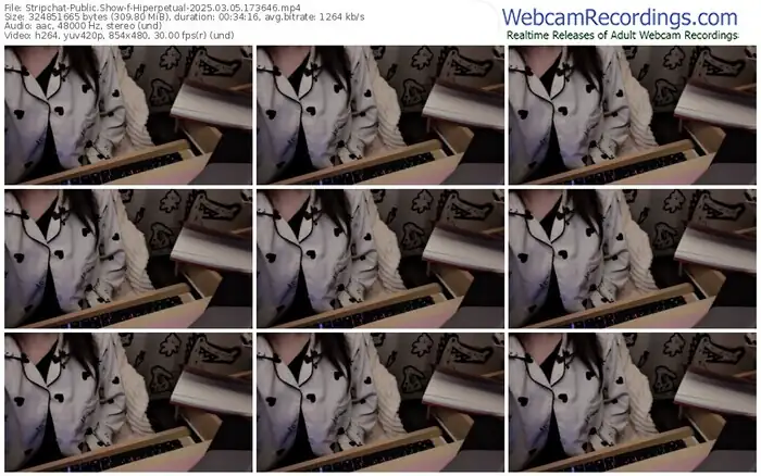 2025/03/05/stripchat-hiperpetual-17-36-46
