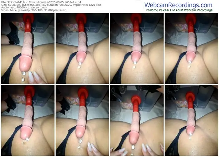 2025/03/05/stripchat-iitaniee-16-53-41