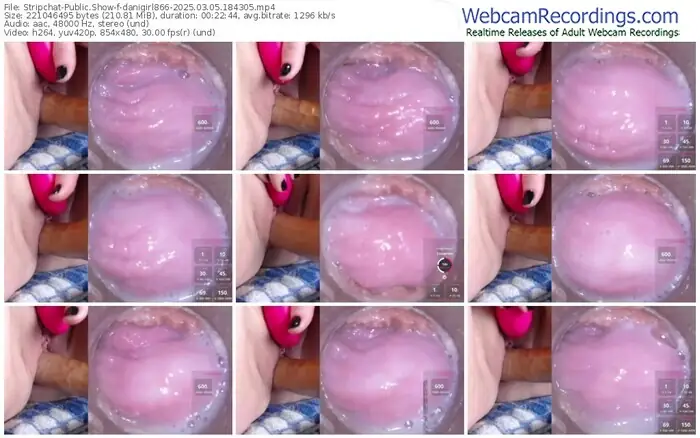 2025/03/05/stripchat-danigirl866-18-43-05