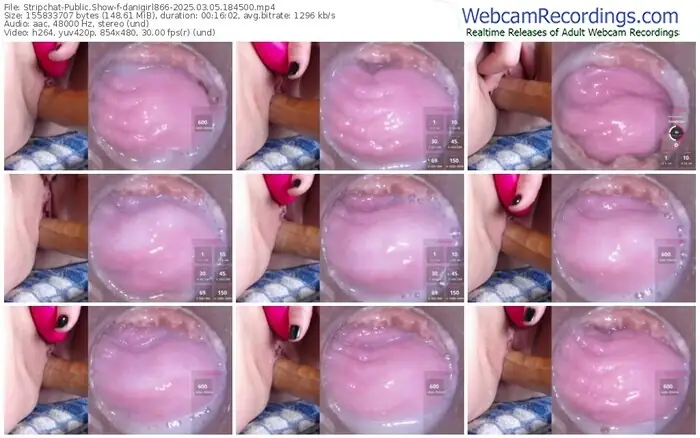 2025/03/05/stripchat-danigirl866-18-45-00