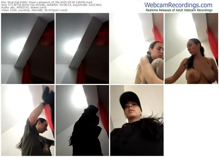 2025/03/06/stripchat-pleasure_of_life-19-06-50