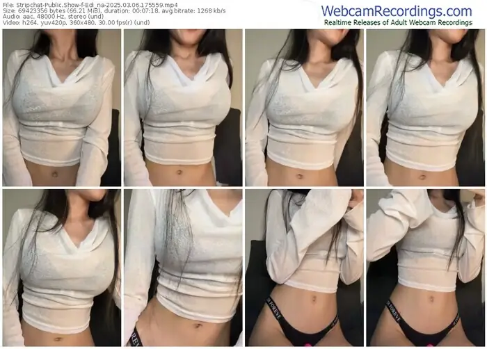 2025/03/06/stripchat-edi_na-17-55-59