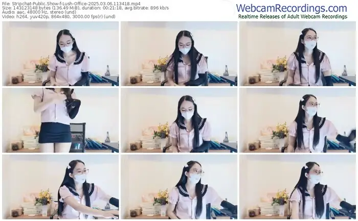 2025/03/06/stripchat-lush-office-11-34-18