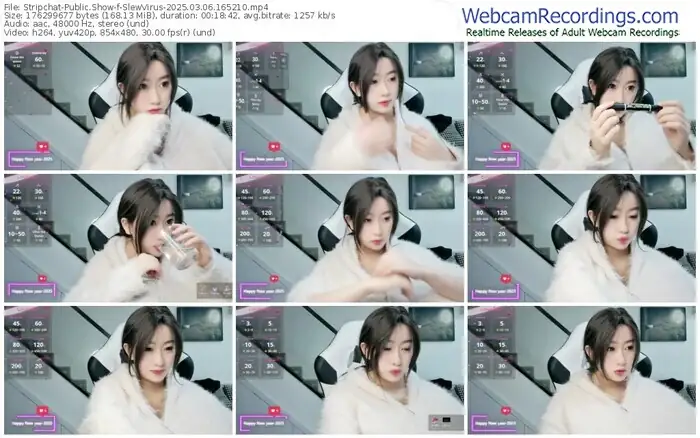 2025/03/06/stripchat-slewvirus-16-52-10
