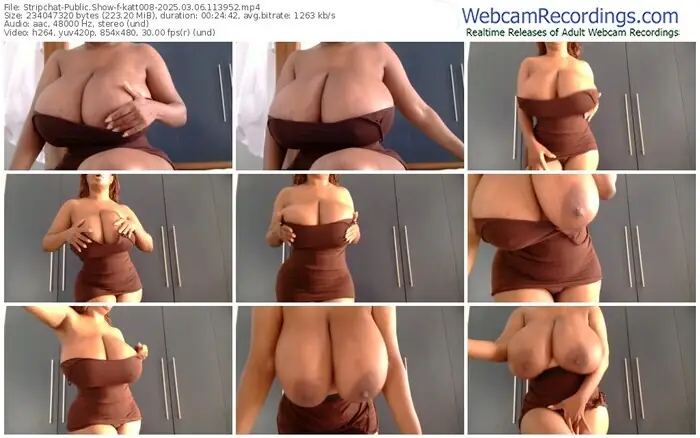 2025/03/06/stripchat-katt008-11-39-52