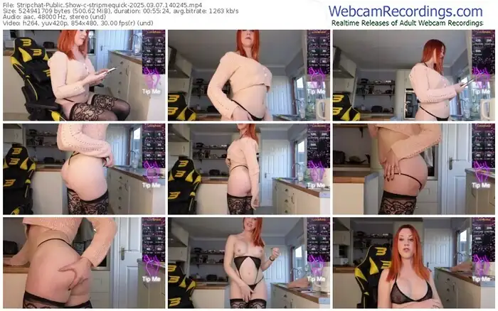 2025/03/07/stripchat-stripmequick-14-02-45