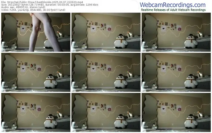 2025/03/07/stripchat-bestblonde-22-26-23
